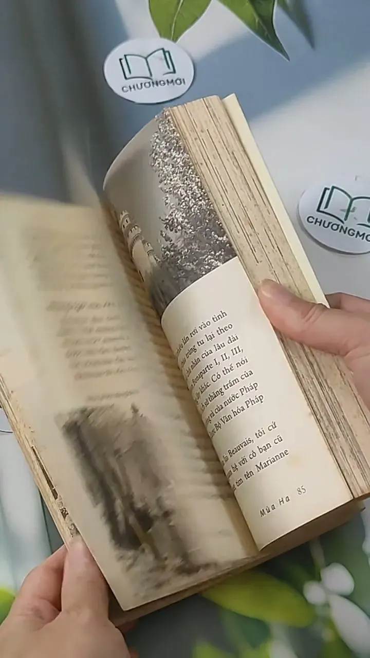 Trả Lại Nụ Hôn - Dương Thụy 705578