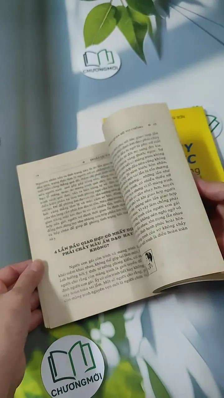 Combo Đời Sống Xã Hội Và Quan Hệ Vợ Chồng - Hoài Quỳnh & Trần Bồng Sơn 780844