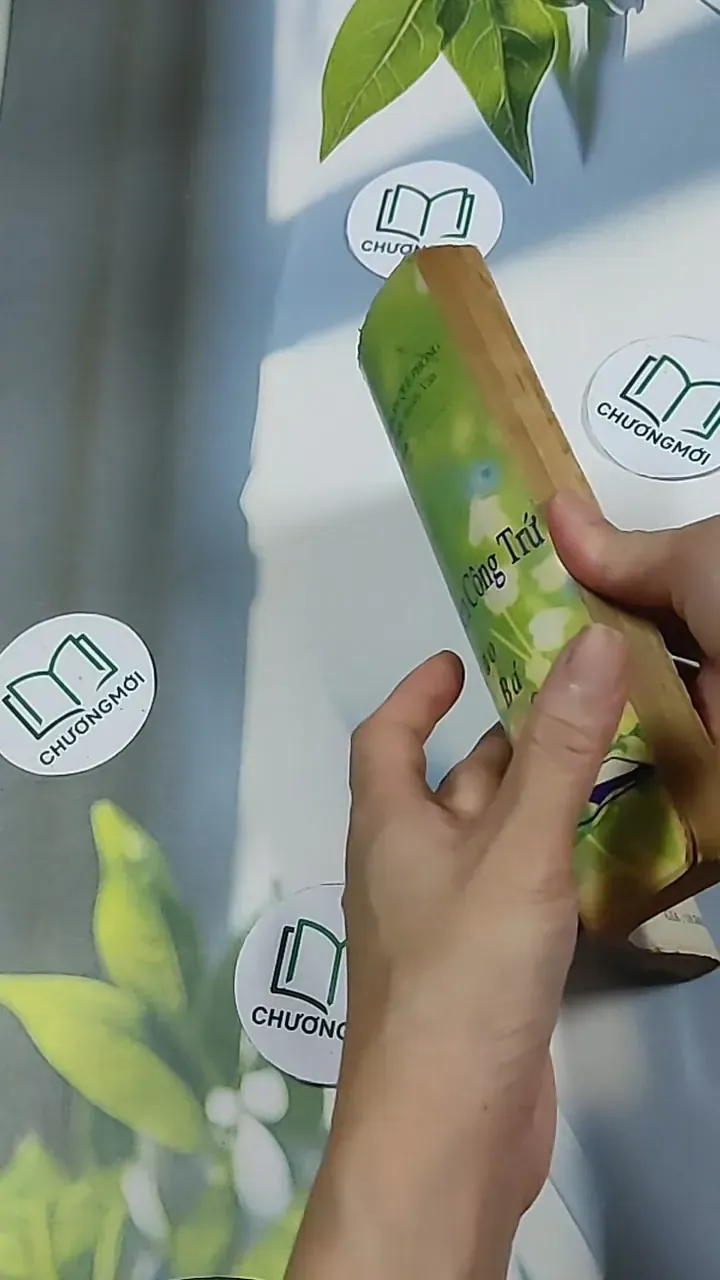 Cuộc đời Nguyễn Công Trứ: Cao Bá Quát - Hồ Sĩ Hiệp 698633