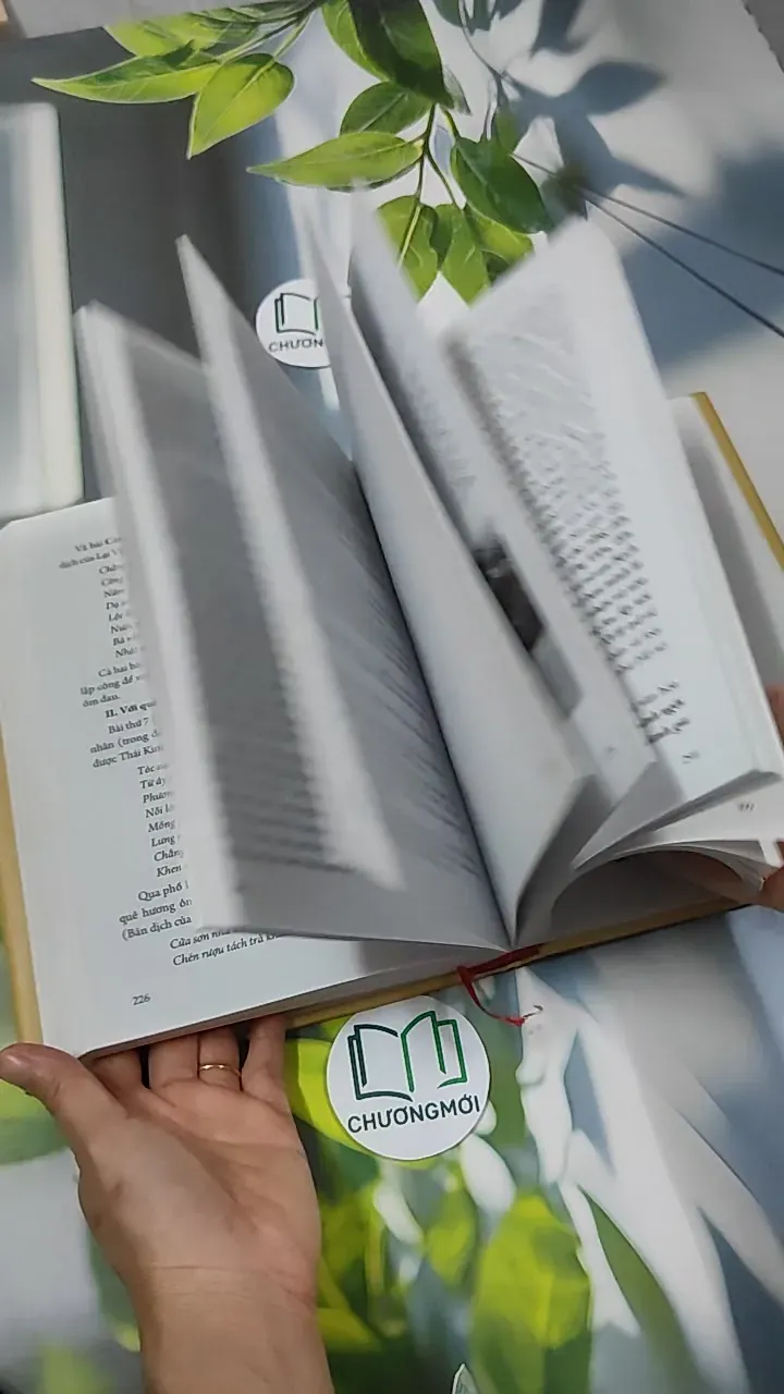 [MIỄN PHÍ BỌC SÁCH] Đinh Nho Hoàn: Thân Thế Và Sự Nghiệp - Hoàng Giáp 750797