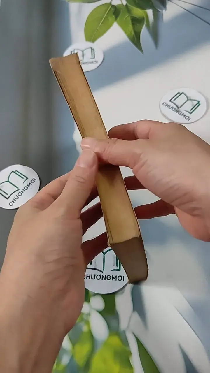 Con Đường Định Mệnh - Hoàng Bình Trọng 713817