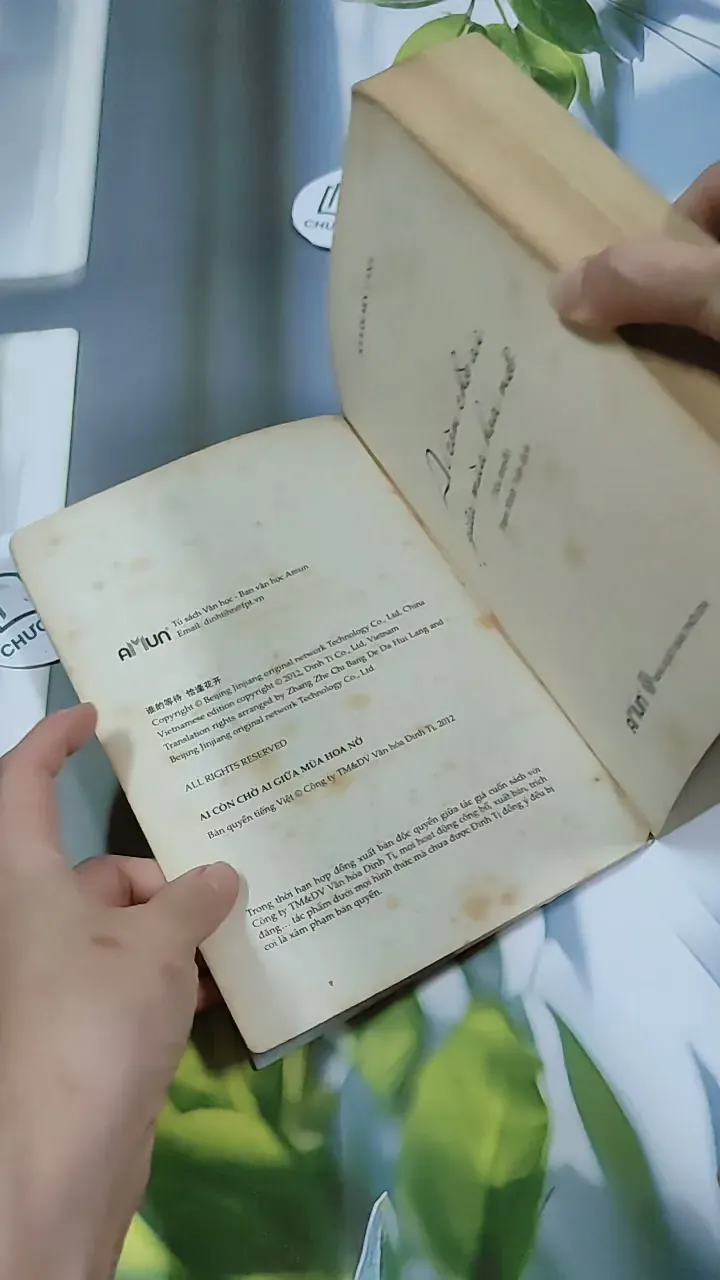 Ai Còn Chờ Ai Giữa Mùa Hoa Nở - Sói Xám Mọc Cánh 744737