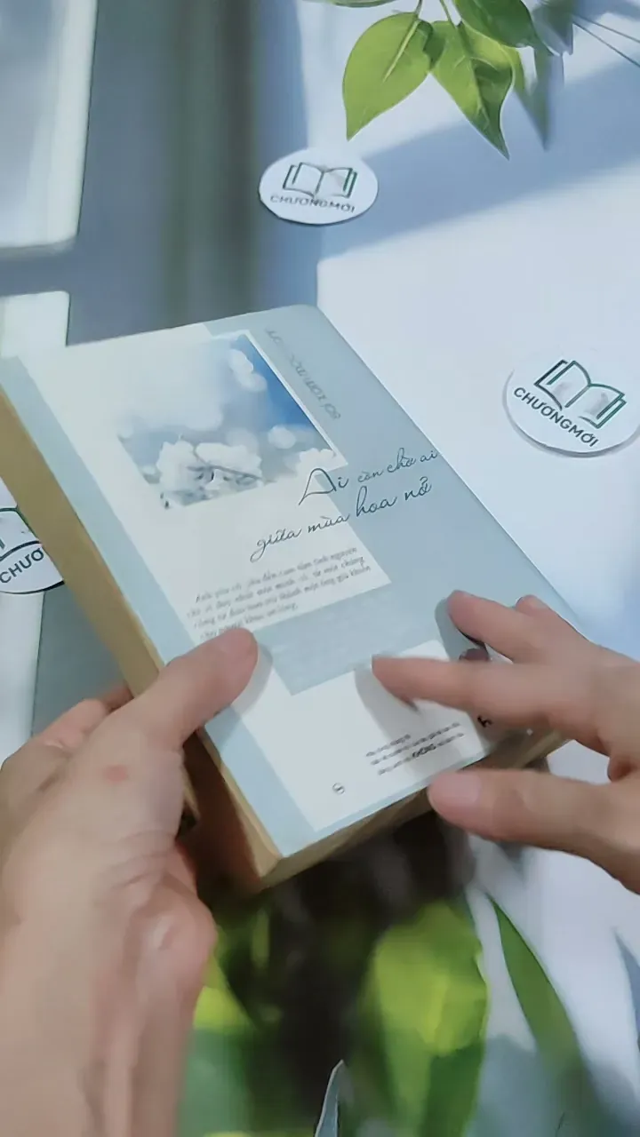 Ai Còn Chờ Ai Giữa Mùa Hoa Nở - Sói Xám Mọc Cánh 744737