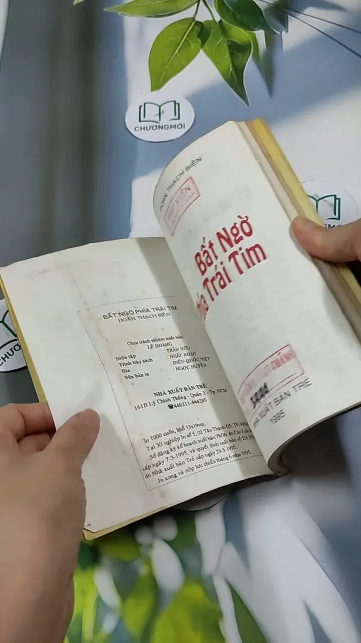 Bất Ngờ Phía Trái Tim - Đoàn Thạch Biền 713853