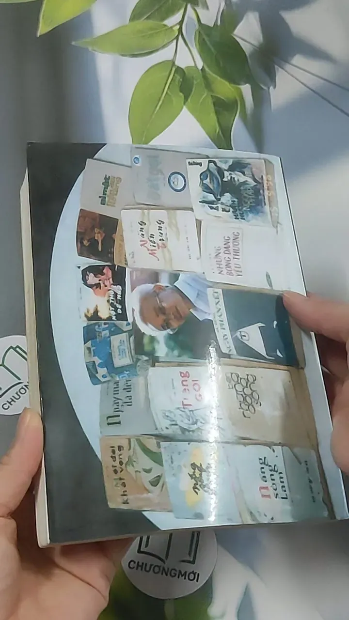 Nỗi đau muôn thuở - Bá Dũng 688626