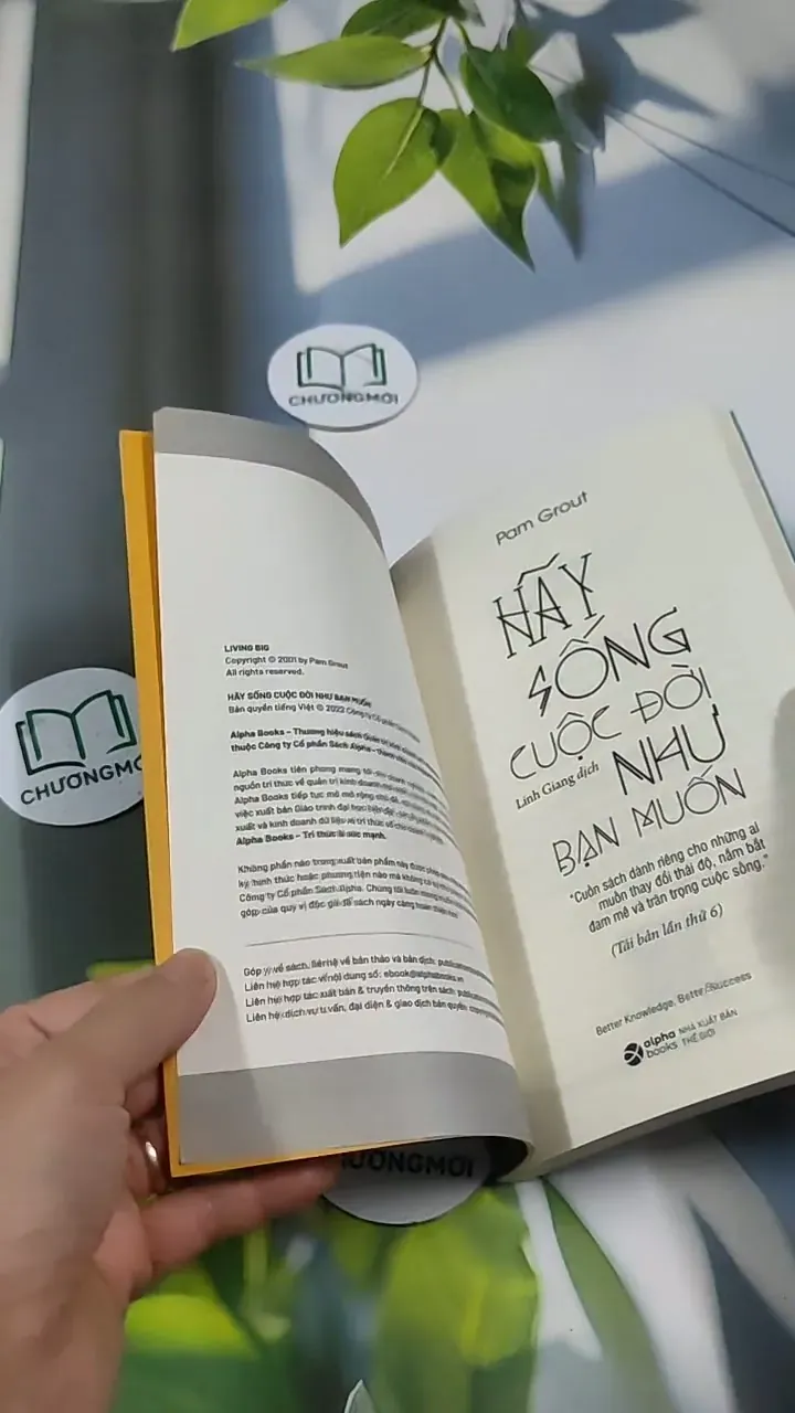 Hãy Sống Cuộc Đời Như Bạn Muốn - Pam Grout 705686
