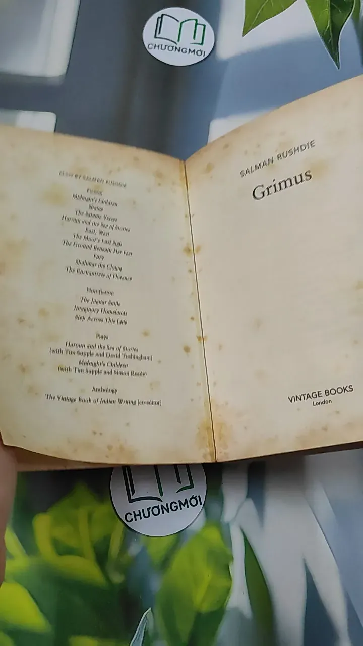 [MIỄN PHÍ BỌC SÁCH] [XƯA] Grimus (1996) - Salman Rushdie 754524