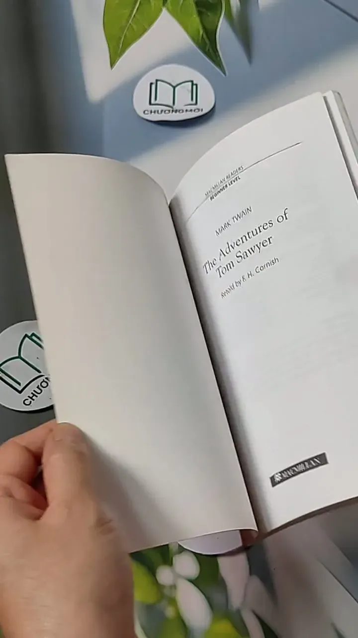 The Adventures of Tom Sawyer - Mark Twain 703069