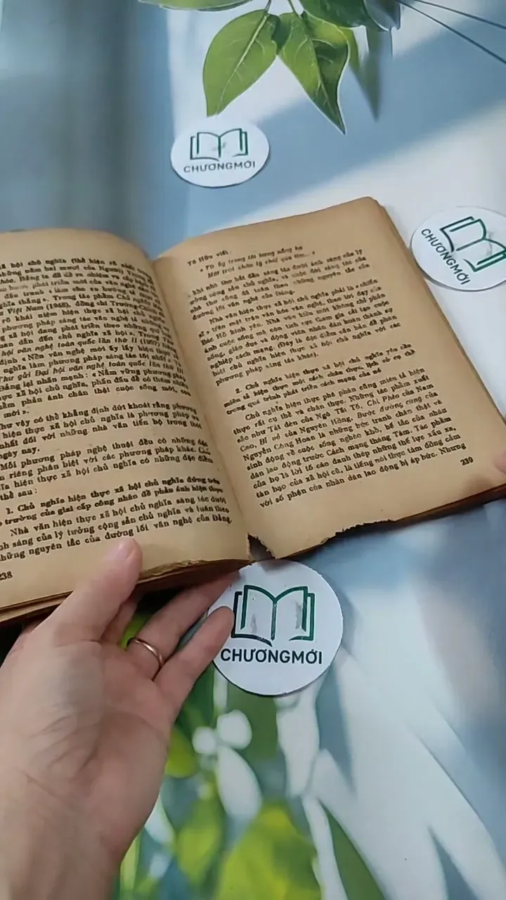 Hướng Dẫn Ôn Tập Và Làm Bài Thi Vào Các Trường Đại Học - Môn Văn 713821