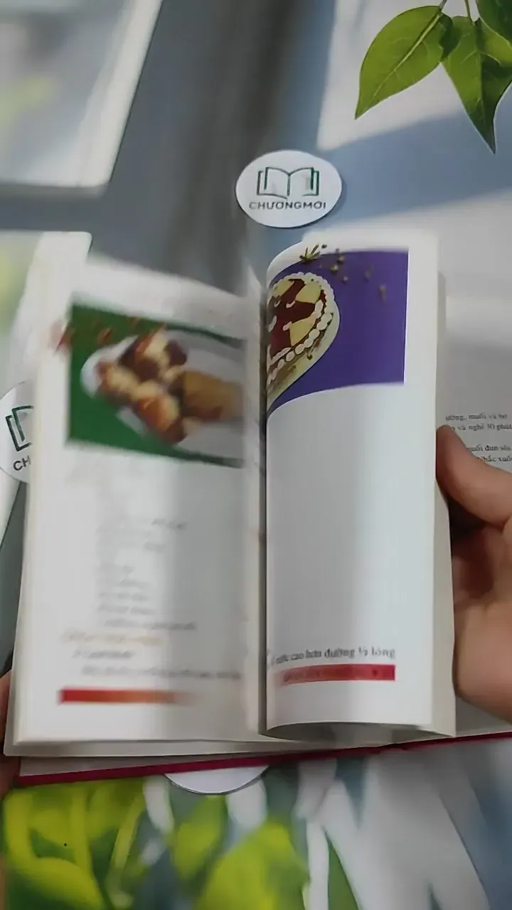 Bánh Tây Phương - Nguyễn Thu Dung & Nguyễn Thị Thanh Nhàn 727309