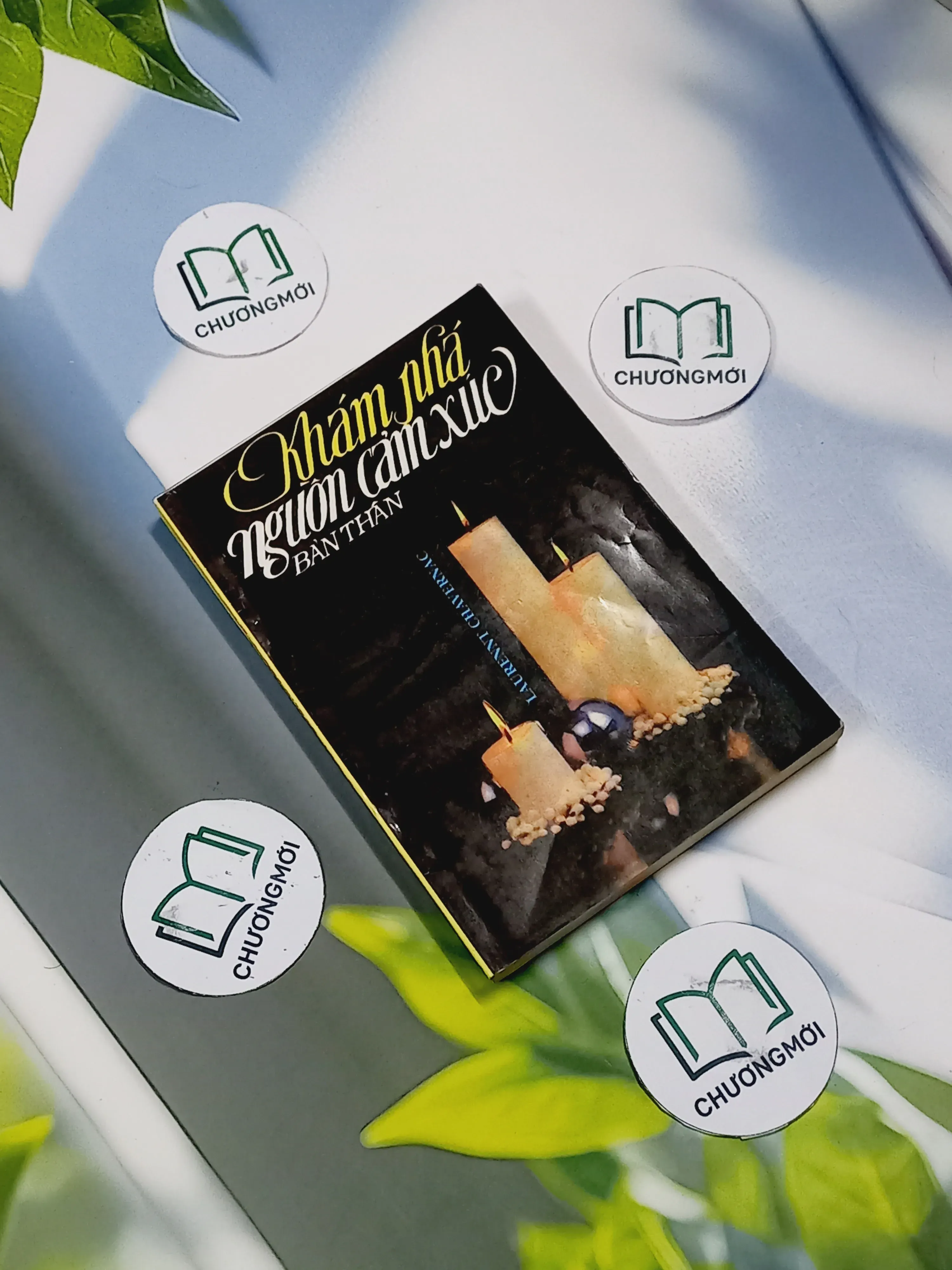 Khám Phá Nguồn Cảm Xúc Bản Thân - Laurennt Chavernac