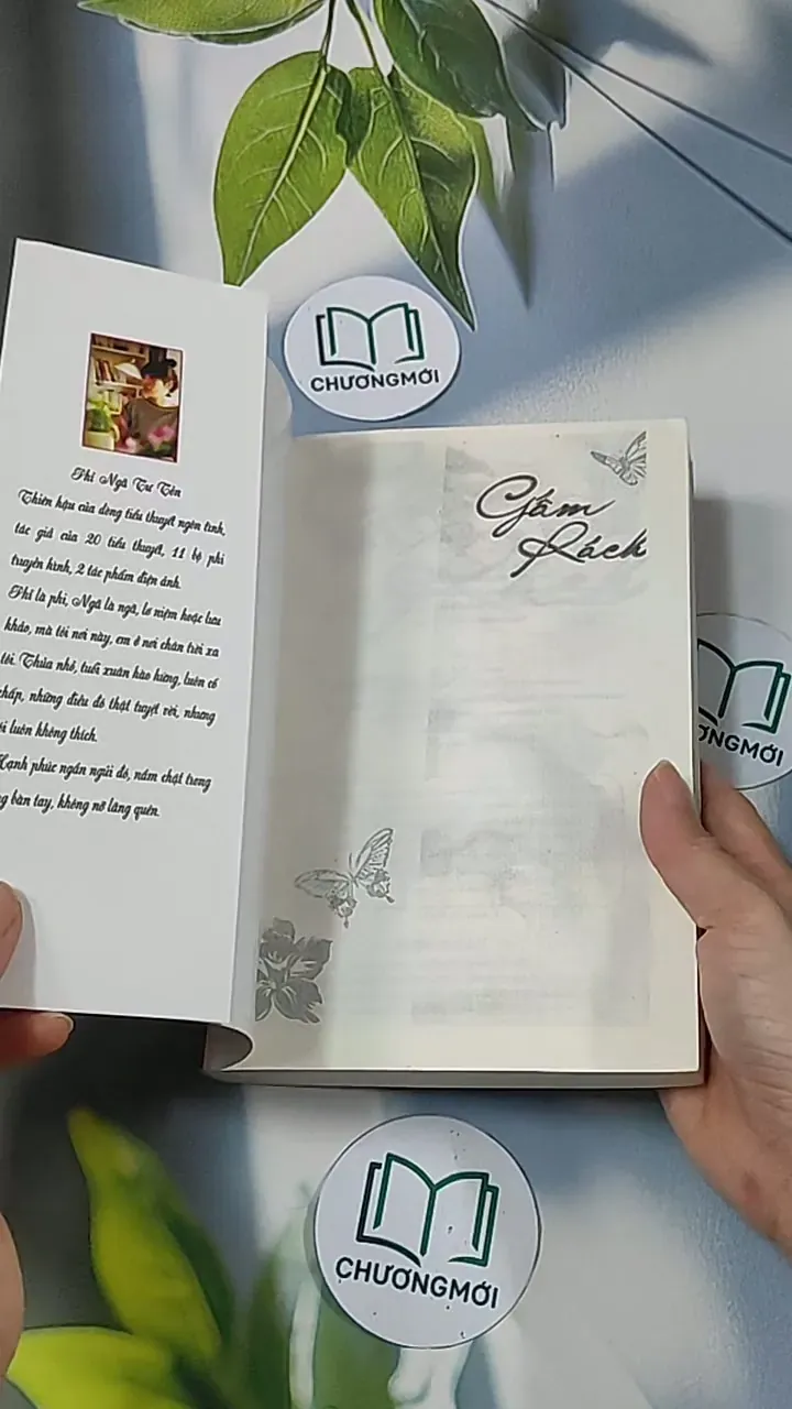 Gấm rách - Phỉ Ngã Tư Tồn 688659