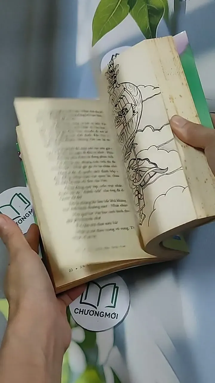 24 cung bậc trái tim 698564