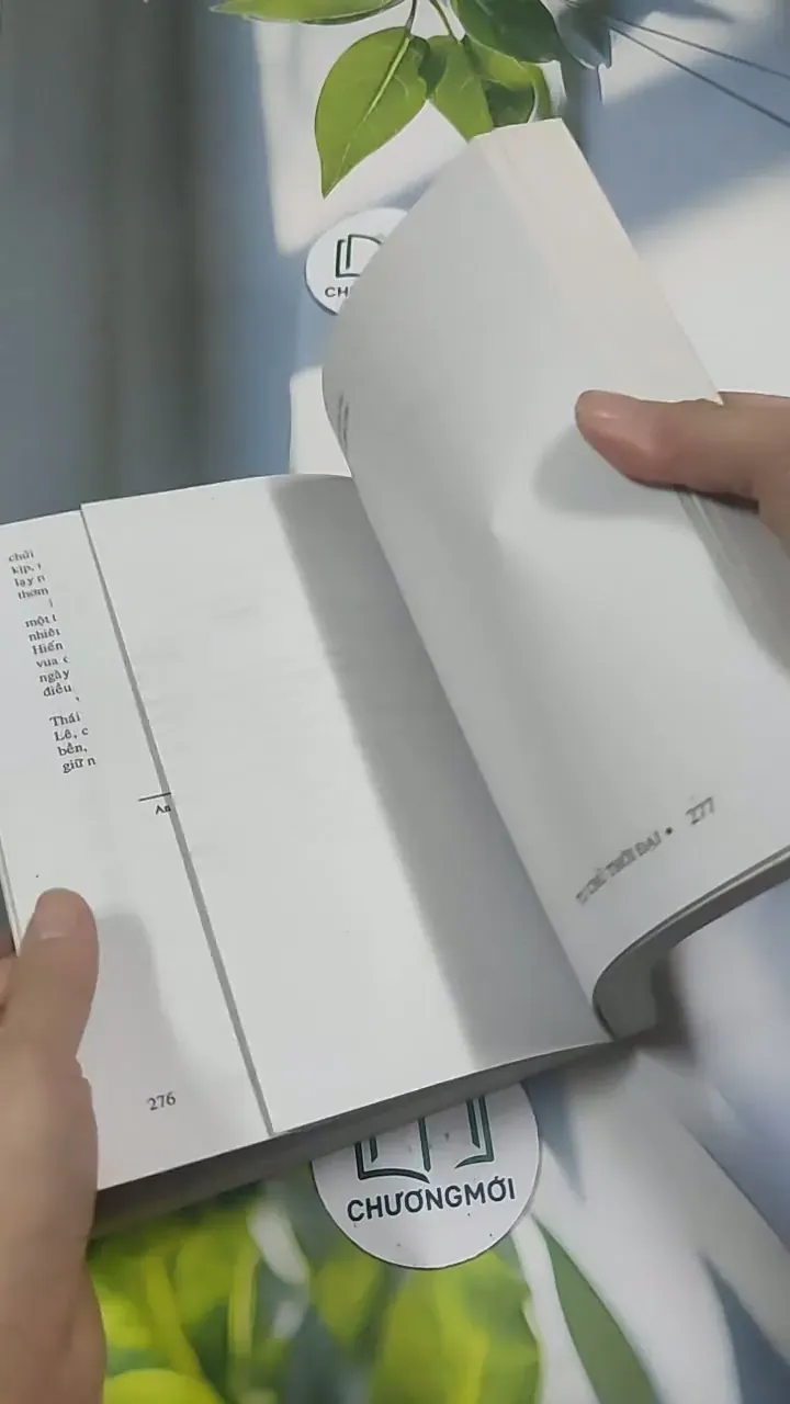 Việt Nam Sử Lược 715609