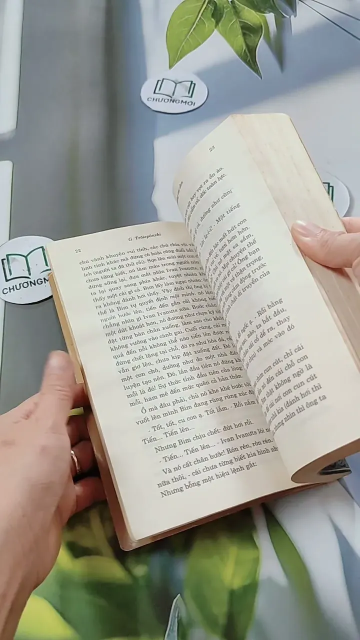 Con Bim Trắng Tai Đen 744686