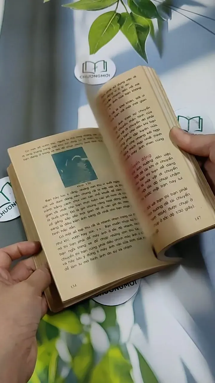 Nếu Bạn Muốn Chụp Một Tấm Hình Đẹp - Ninh Hùng 713856