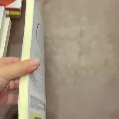 CÓ HAI CON MÈO NGỒI BÊN CỬA SỔ – Nguyễn Nhật Ánh | Truyện dài nhẹ nhàng - K2