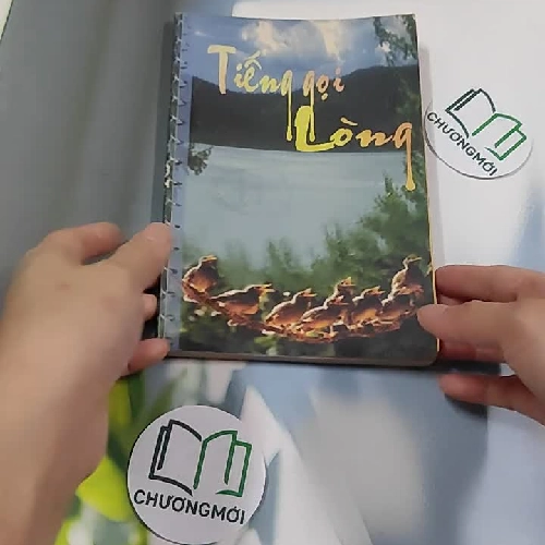 Tiếng Gọi Lòng - Truyện Công Giáo