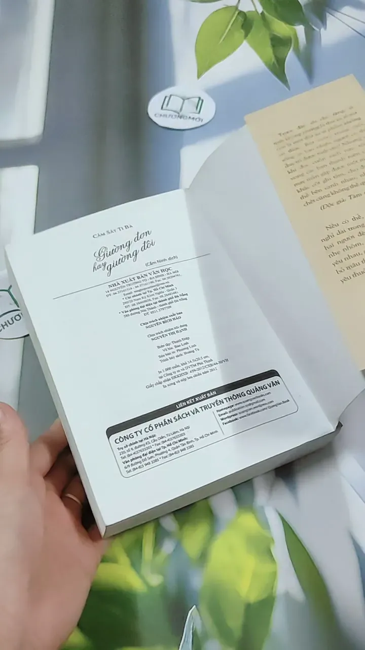 Giường Đơn Hay Giường Đôi - Cầm Sắt Tỳ Bà 744730