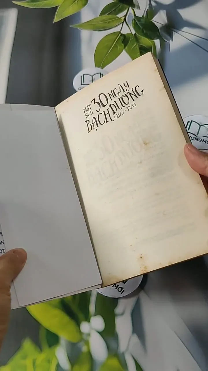 Mật ngữ 30 ngày Bạch Dương (21/3 - 19/4) 713790