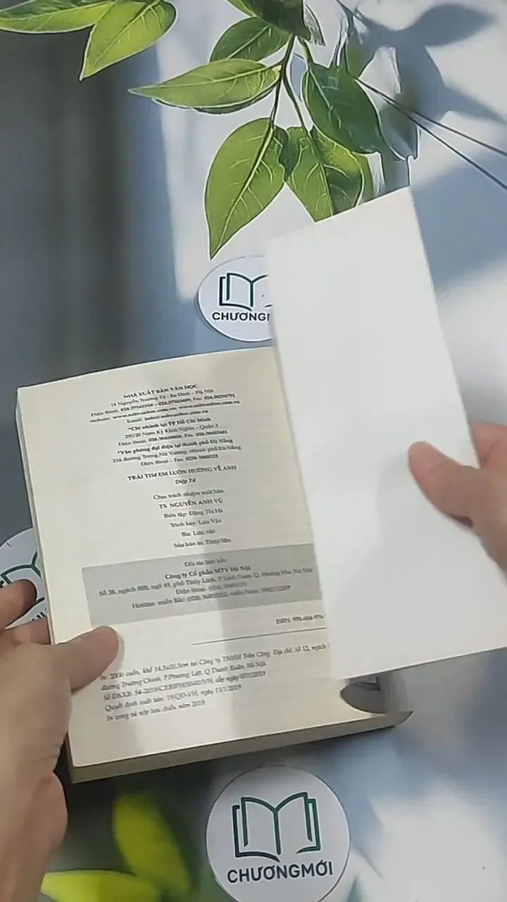 Trái tim em luôn hướng về anh - Diệp Tử 694937