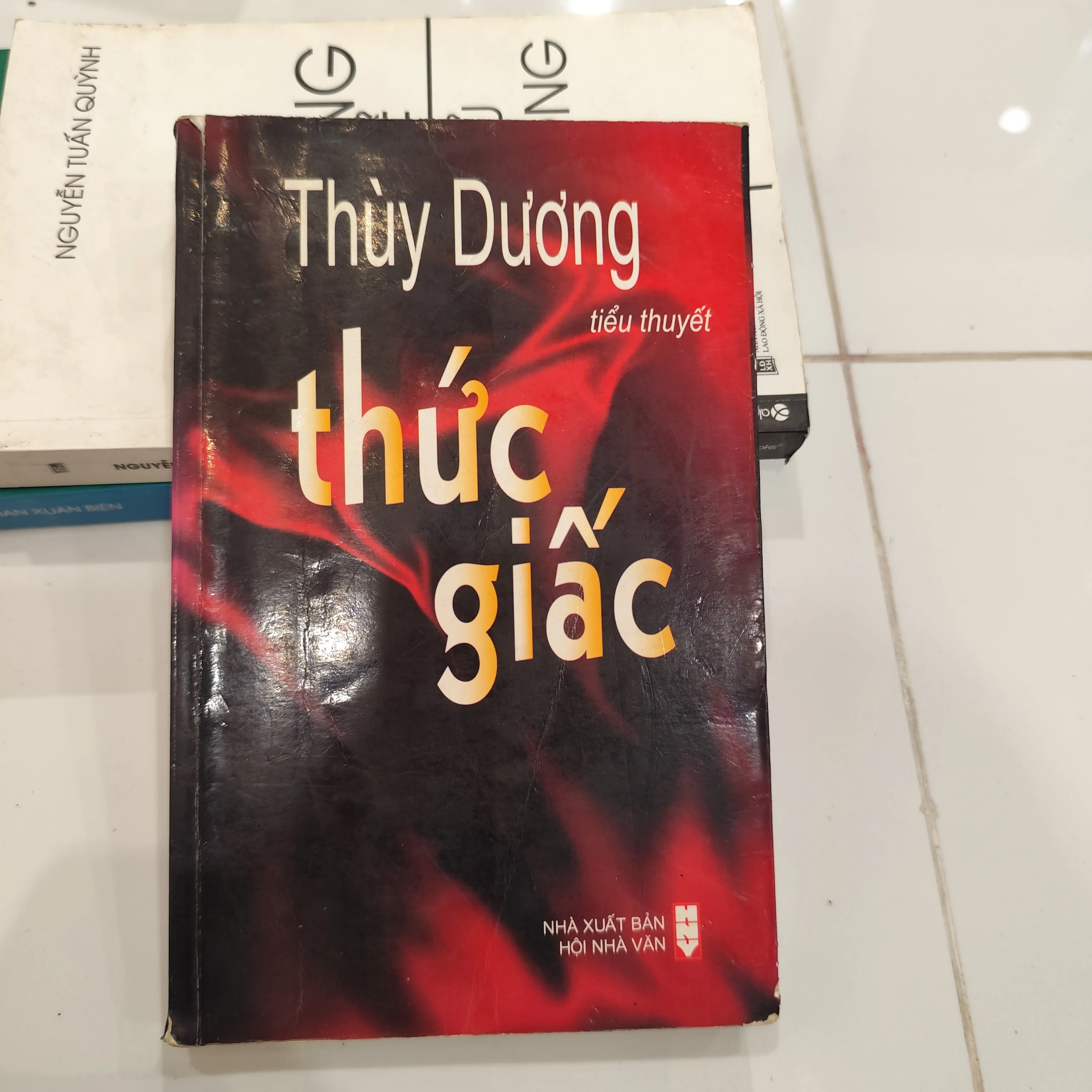 Thức giấc - Thùy Dương by  - Sách Book Cover - Ngọc Hiển Books