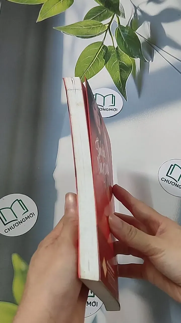 Tình yêu nồng cháy - Sái Cần Cần 688657