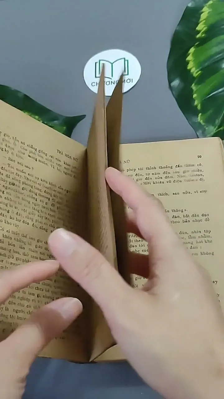 Trà Hoa Nữ 604659