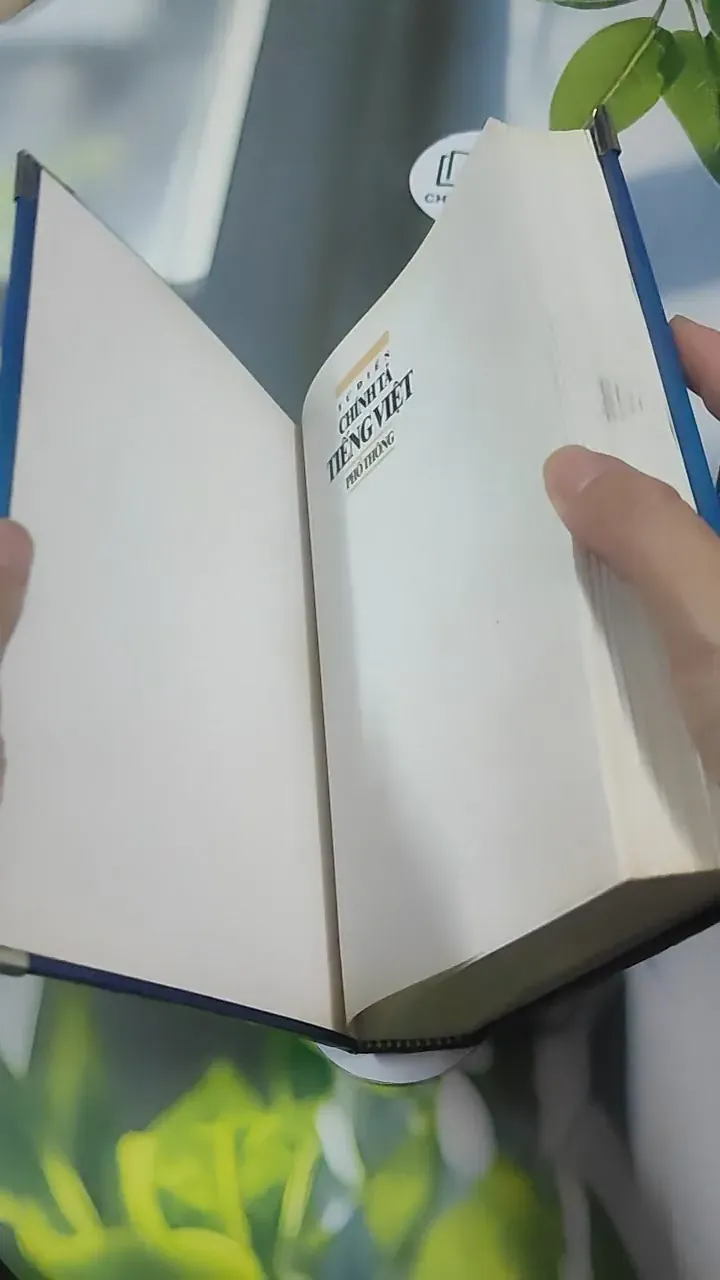 Từ Điển Chính Tả Tiếng Việt Phổ Thông - Nguyễn Văn Khang 727389