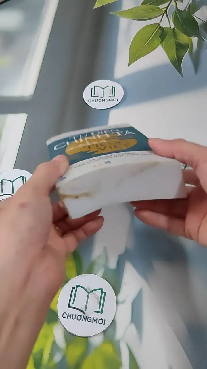 Từ Điển Chính Tả Tiếng Việt 727289