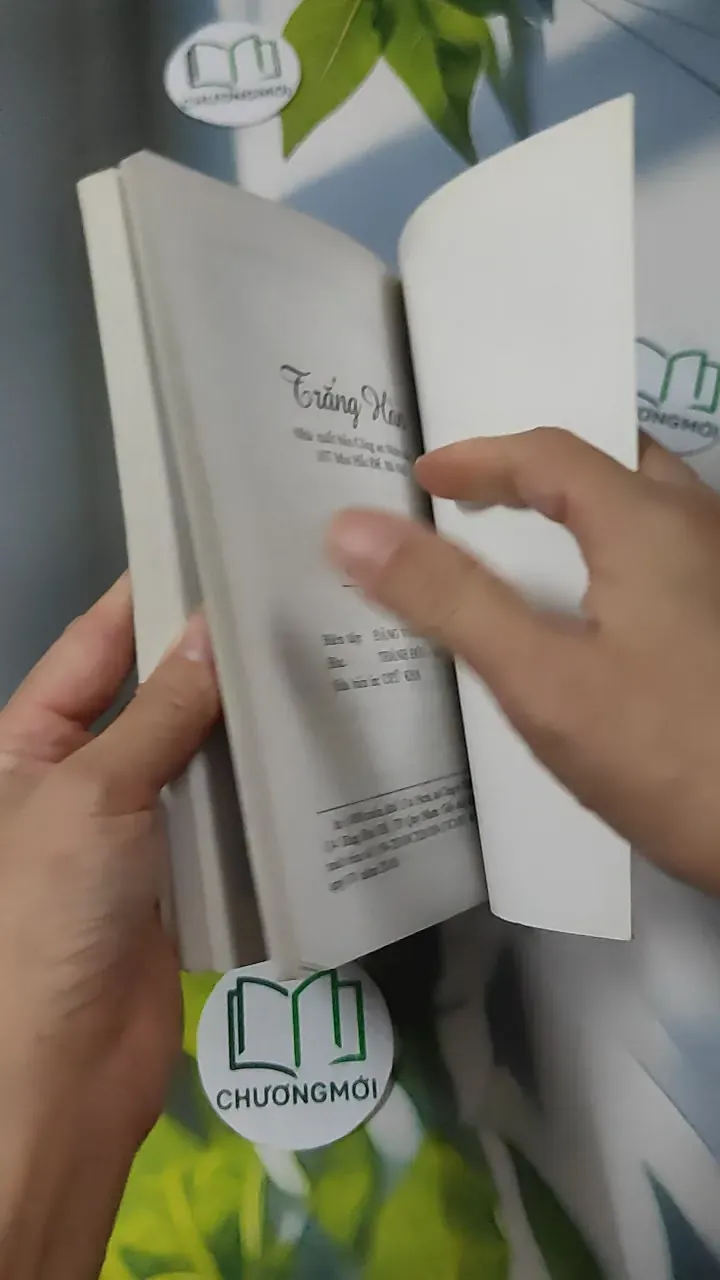 Hành Trình Đến Với Hàn Mặc Tử - Dzũ Kha 780881