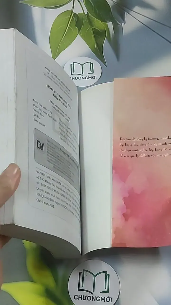 Tình yêu đau dạ dày - Điệp Chi Linh 688596