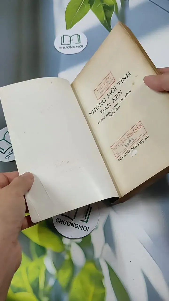 Những Mối Tình Đan Xen - Vũ Đình Bình - Phạm Sông Hồng 713835