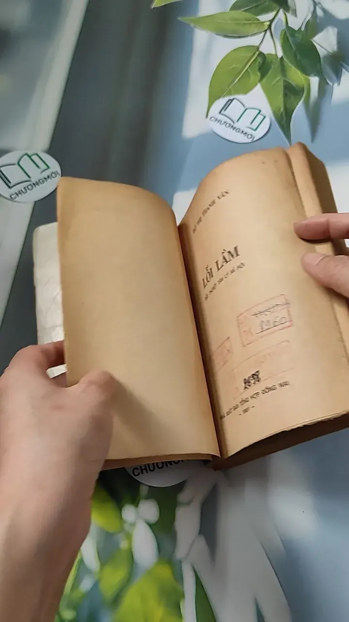 [XƯA] Lỗi Lầm (1991) - Đỗ Thị Thanh Vân 776065