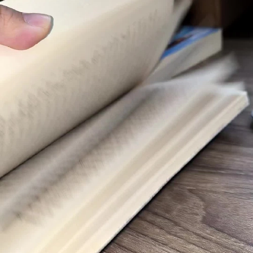 A Girl Called Shameless – Laura Steven