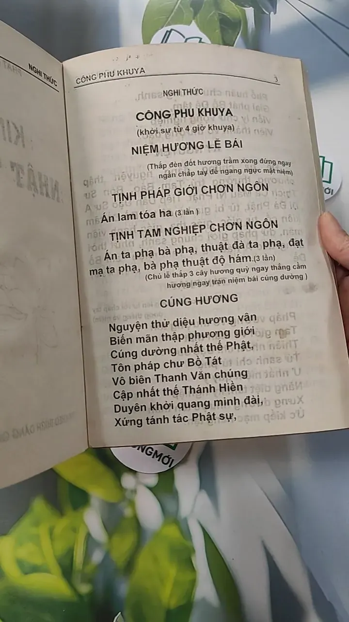 Kinh Nhật Tụng - Thích Đăng Quang 775970