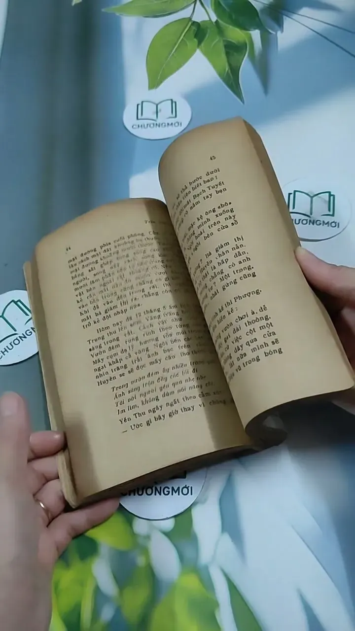 Nữ Sinh Nội Trú - Trần Áng Sơn 713865