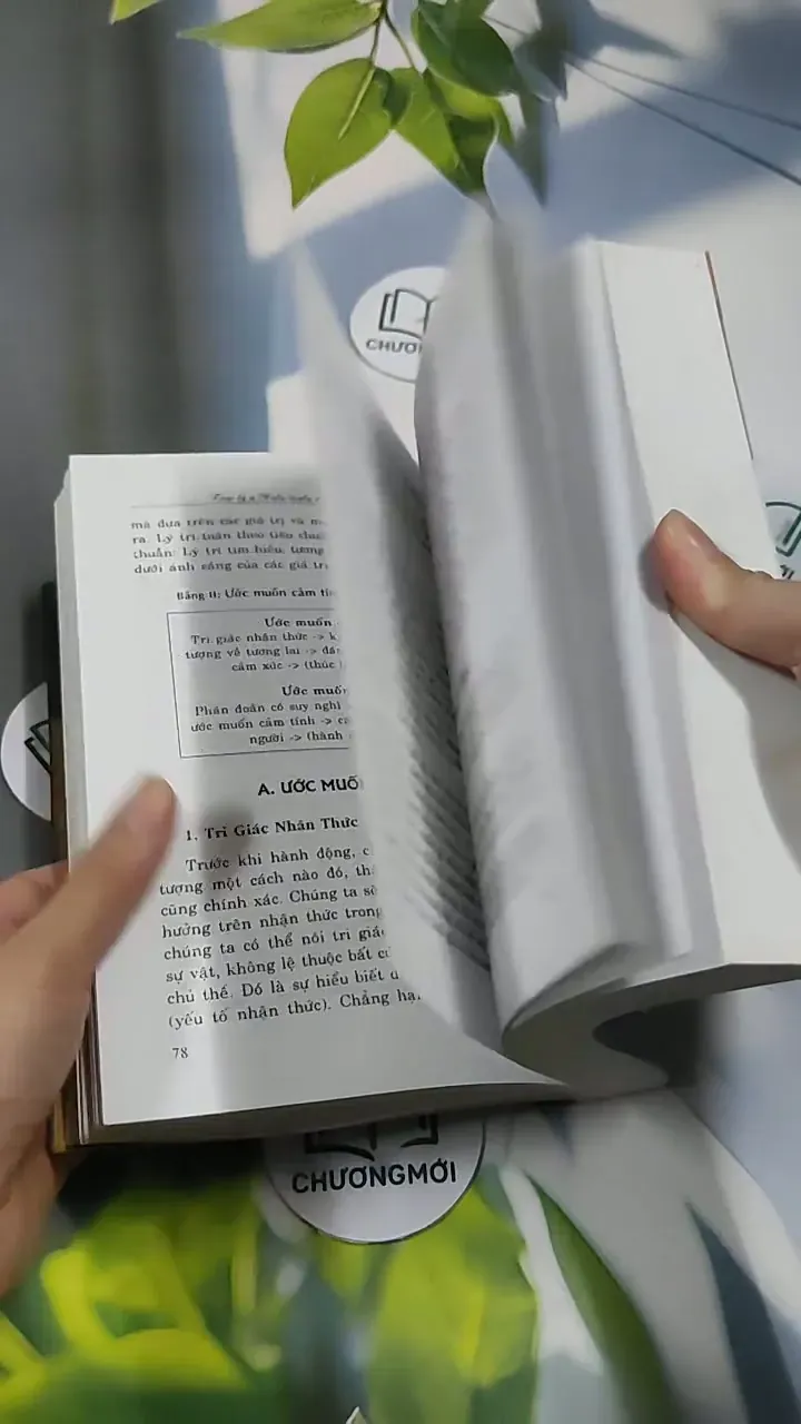 Tâm lý và huấn luyện: Cơ Cấu và Năng Động - Acencini Manenti 707264