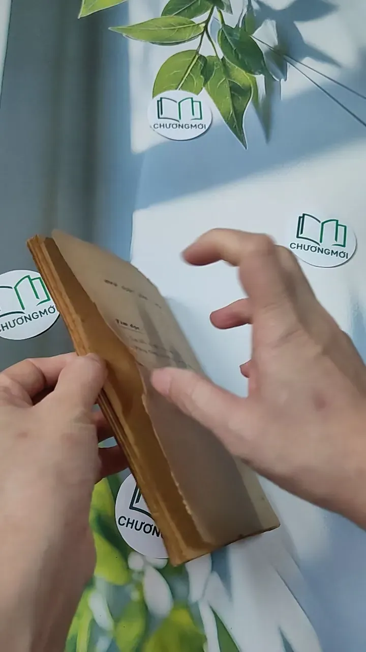 [XƯA] Bí Mật Đại Não (1982) - BS. Cao Trường Thọ 775987