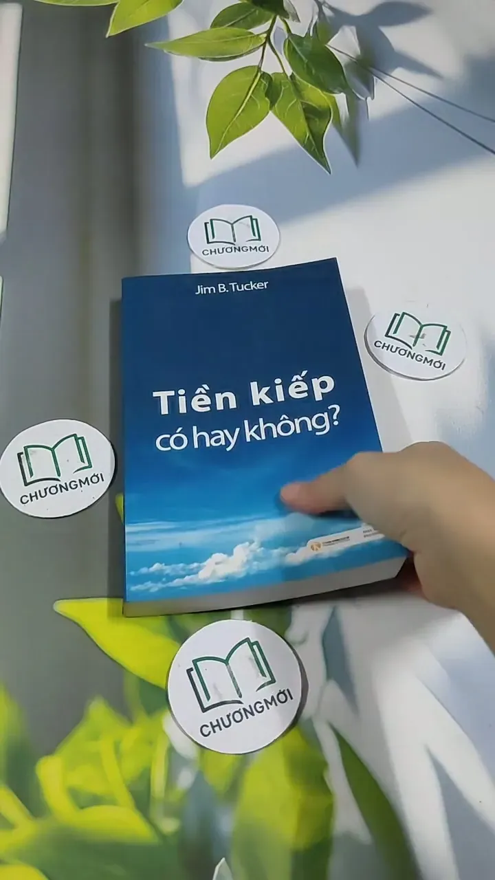 Tiền Kiếp - Có Hay Không? 705673