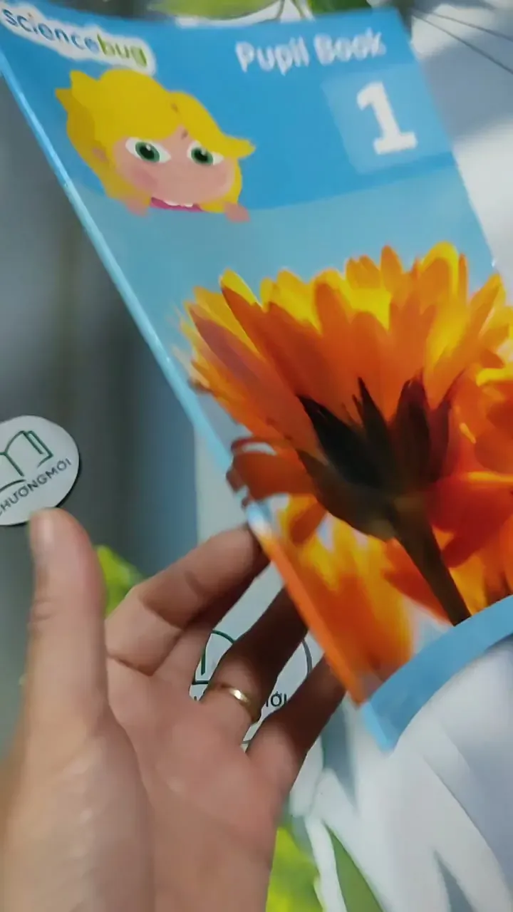 Science Bug Pupil Book Year 159 713904