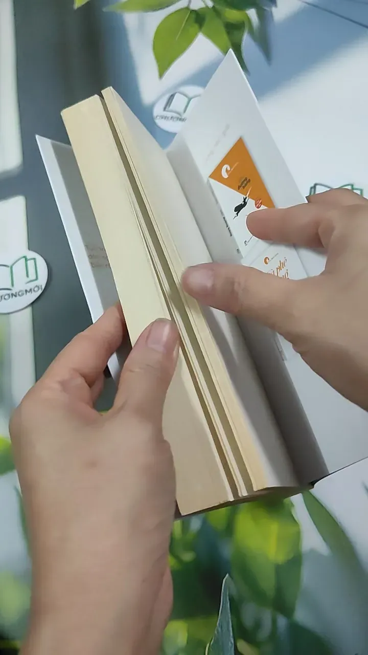 Cà Phê Cùng Tony - Tony Buổi Sáng 787082