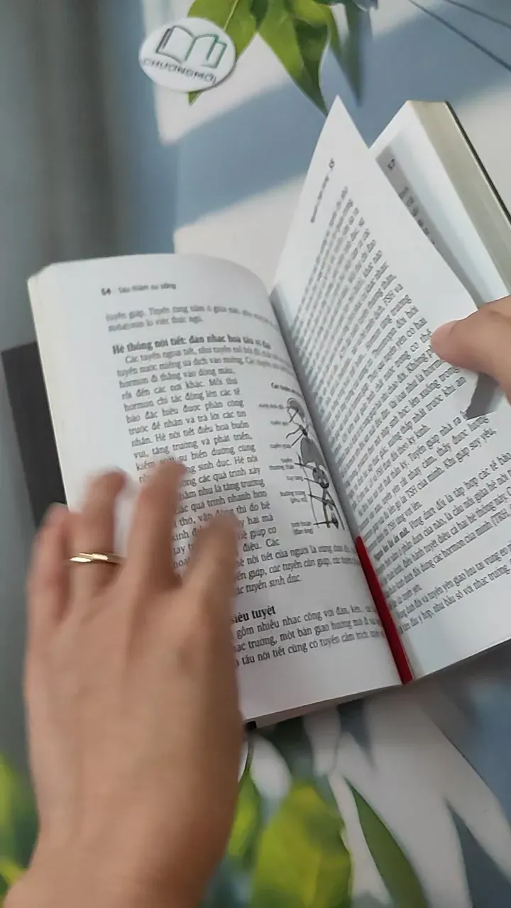 Sâu Thẳm Sự Sống - Nguyễn Chấn Hùng 780796