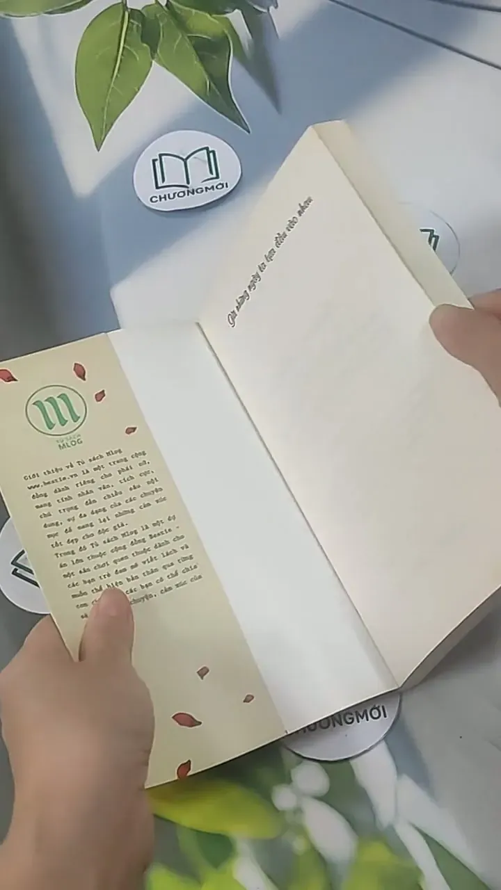 Giữa Những Ngày Tựa Đầu Vào Nhau 705566