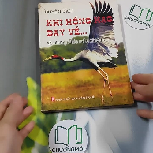 Khi hồng hạc bay về... và những điều mầu nhiệm - Ni sư Huyền Diệu