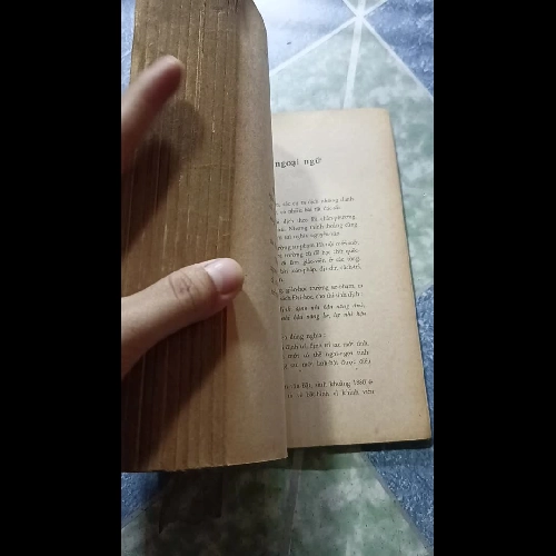 chơi chữ - Nam Chi Tùng Thư - Lãng Nhân