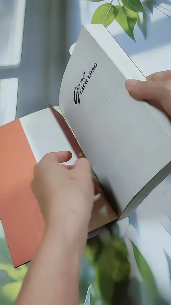 Gần Mặt Cách Lòng - Tạ Hồng 744733