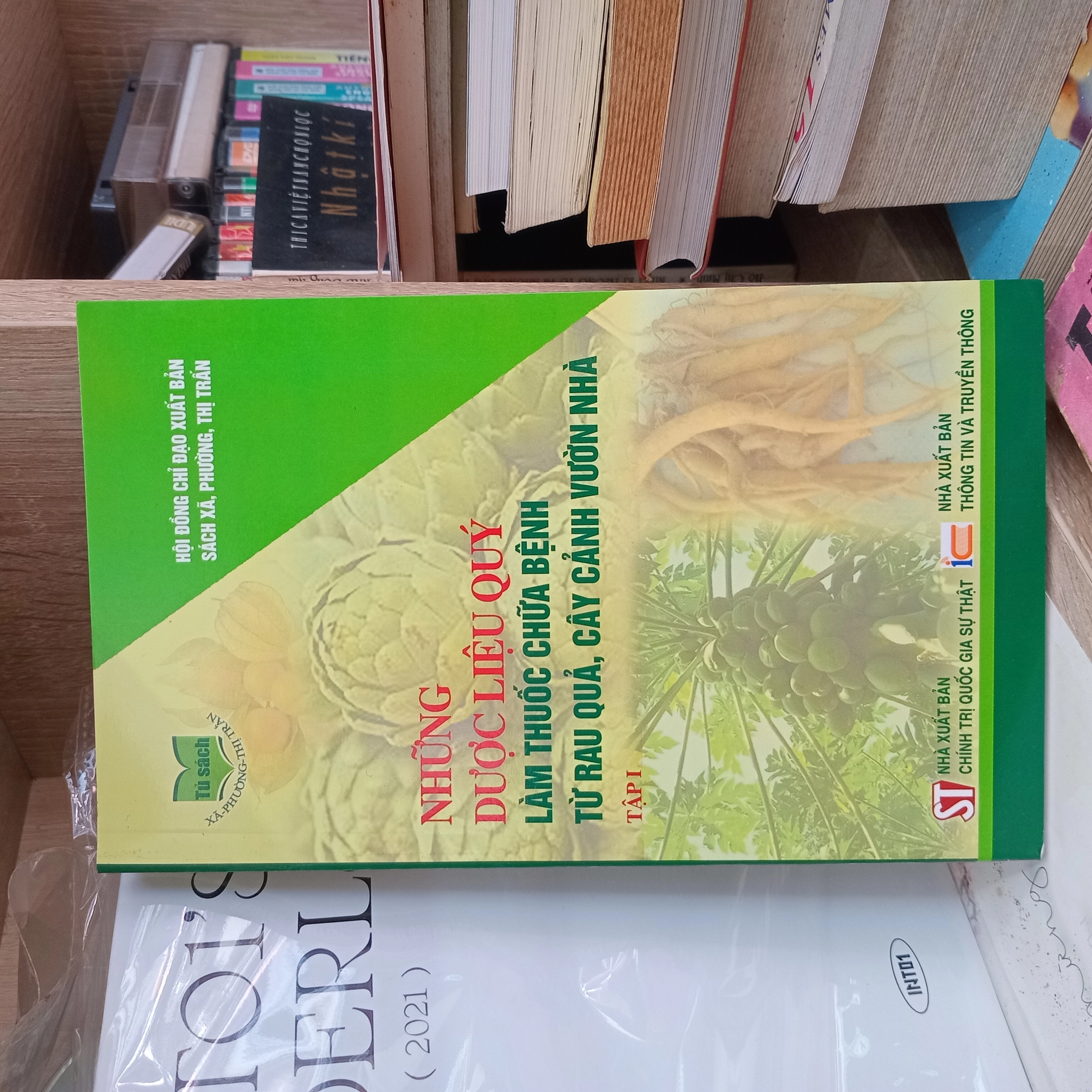 Những Dược Liệu Quý Làm Thuốc Chữa Bệnh Từ Rau Quả, Cây Cảnh Vườn Nhà by GS. TSKH. BS.VS. Đái Duy Ban; Lương y ĐKQG Bùi Đắc Sáng; PGS.TS. Trần Nhân Thắng - Sách Book Cover - Ngọc Hiển Books