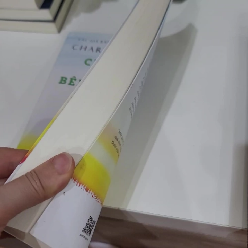 Chữa Lành Đứa Trẻ Bên Trong Bạn