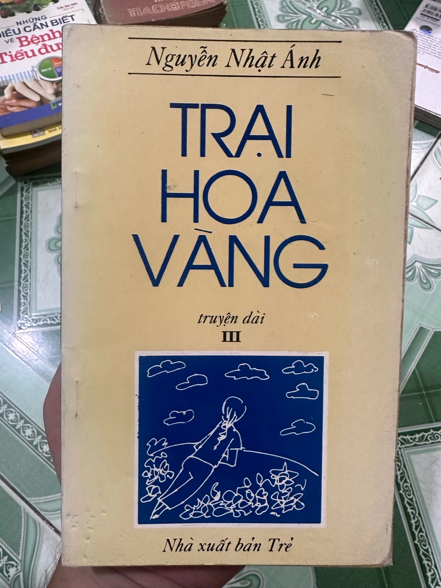 Trại Hoa Vàng - Nguyễn Nhật Ánh by Nguyễn Nhật Ánh - Sách Book Cover - Ngọc Hiển Books
